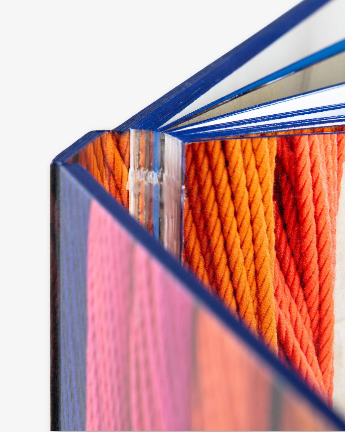 Sheila Hicks: Radical Vertical Inquiries by Frauke V. Josenhans (Editor), Sheila Hicks (Artist), Enrico Martignoni (Foreword)