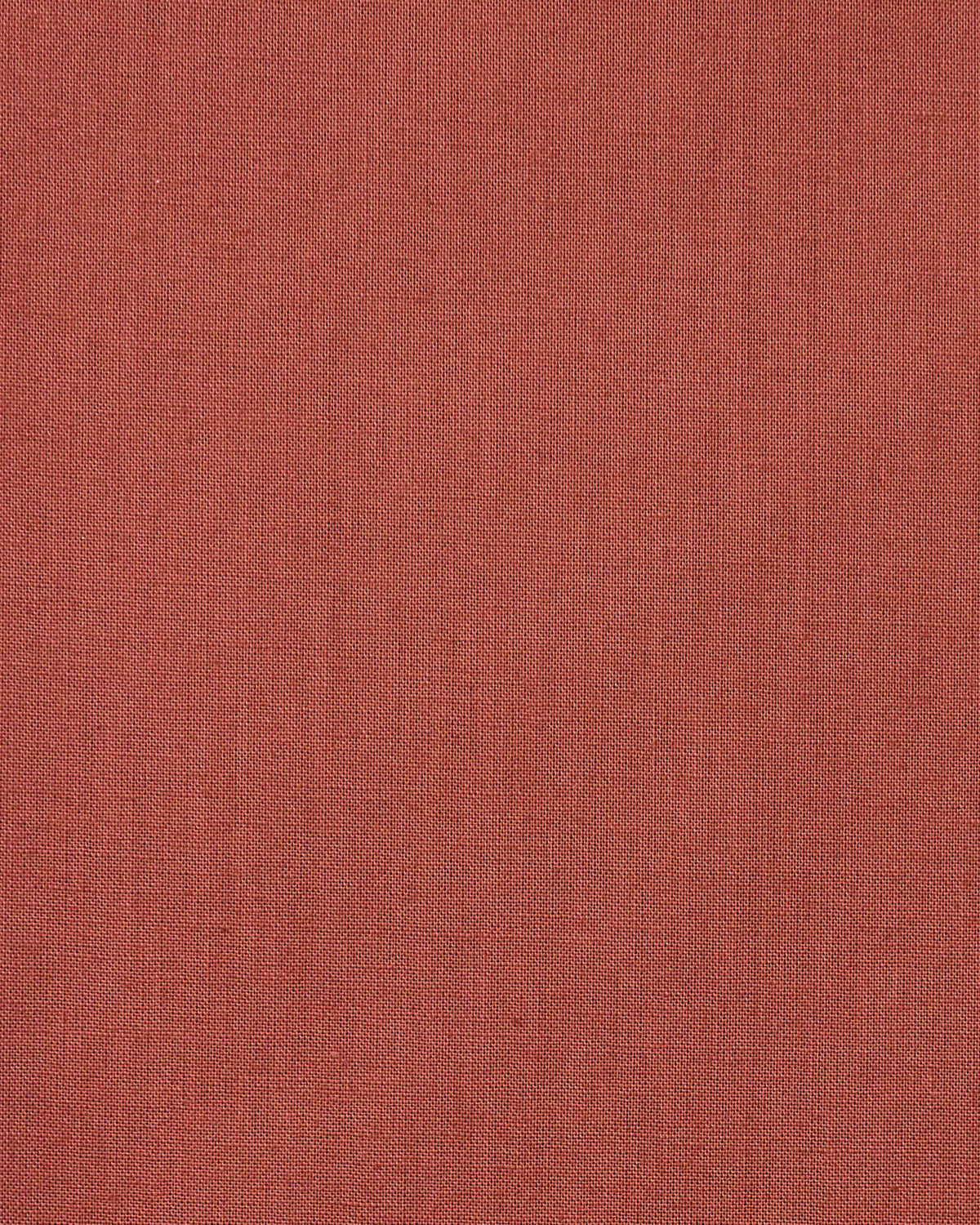 Wild Rose from Ruby and Bee Solids by Heather Ross and Annabel Wrigley from Windham Fabrics