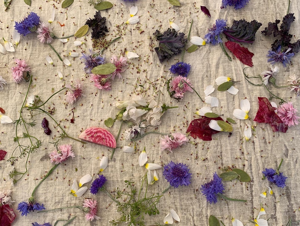 Embroidery & Botanical Printing