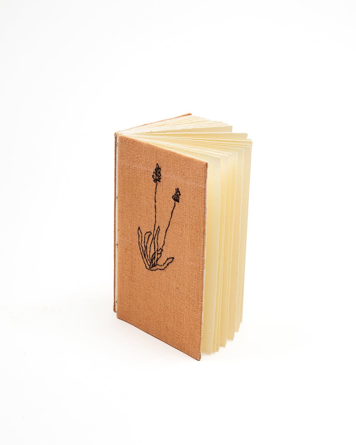 Botanical Journal by Kata Golda