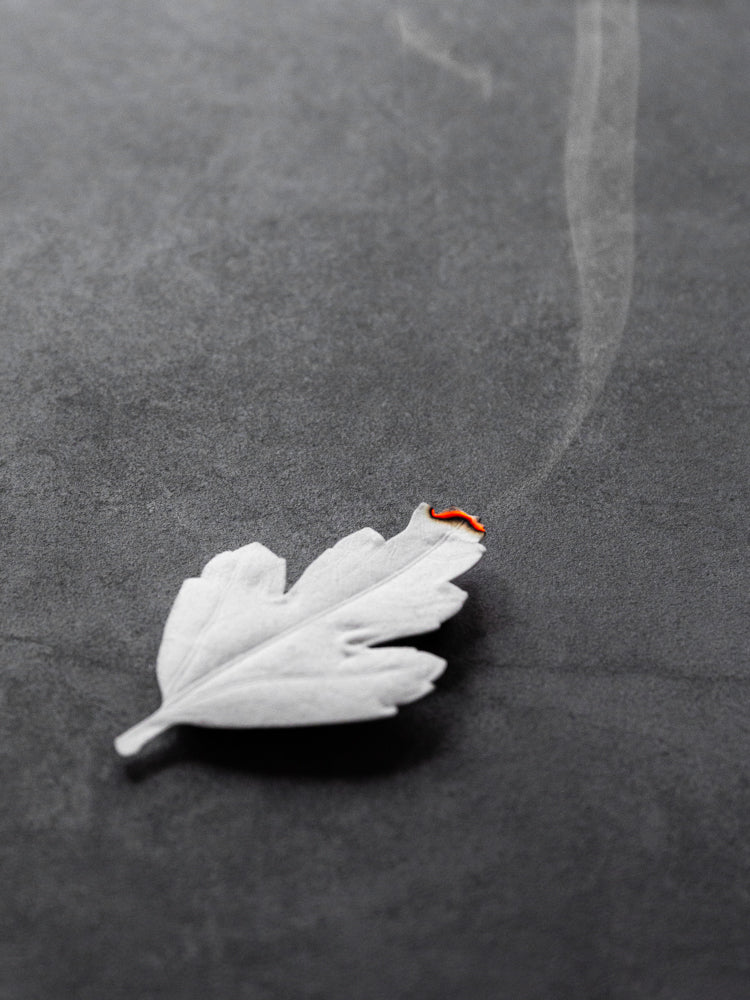 Leaf-shaped Paper Incense Set