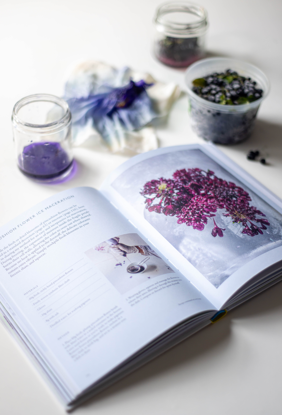 From Plant to Pigment: A Book Talk with Natalie Stopka