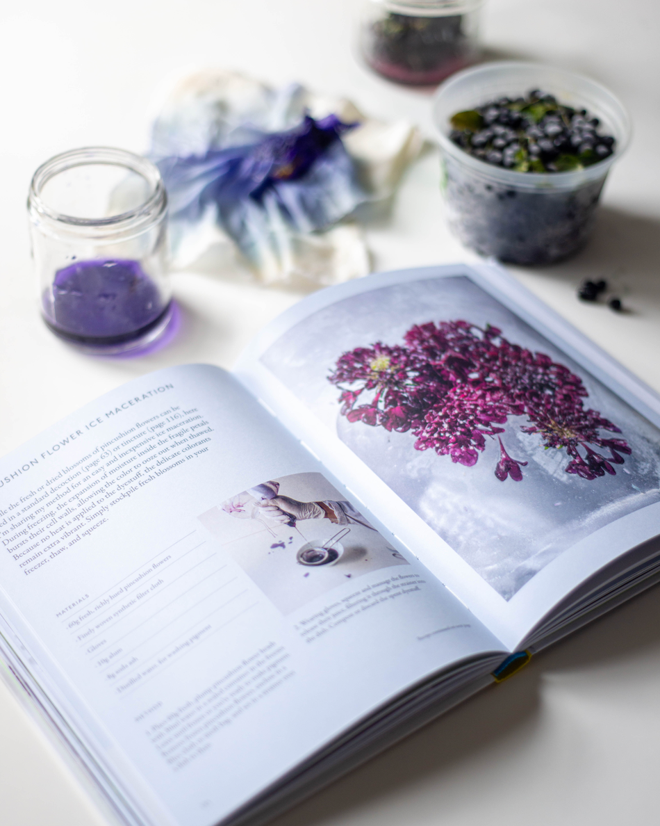 From Plant to Pigment: How to make your own vibrant inks, pastels and paints by Natalie Stopka