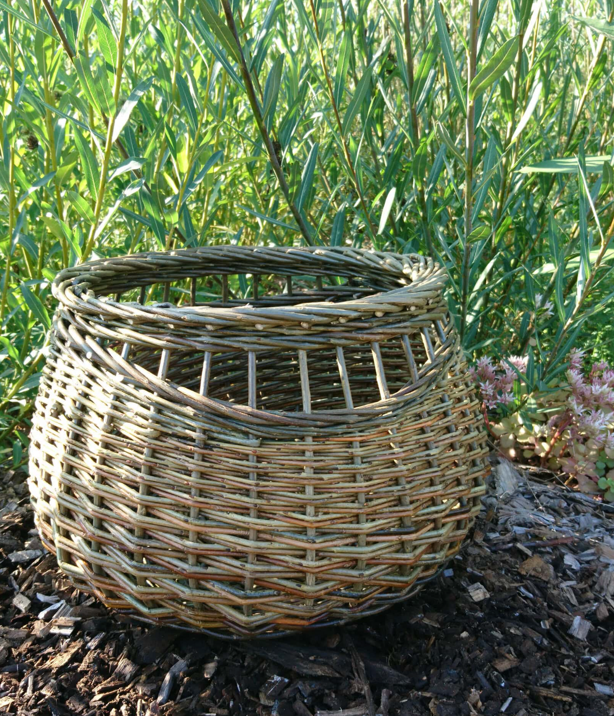 Willow Basket Weaving