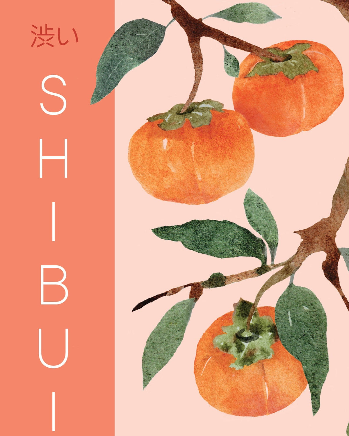 Book Talk: Shibui – The Japanese Art of Finding Beauty in Aging