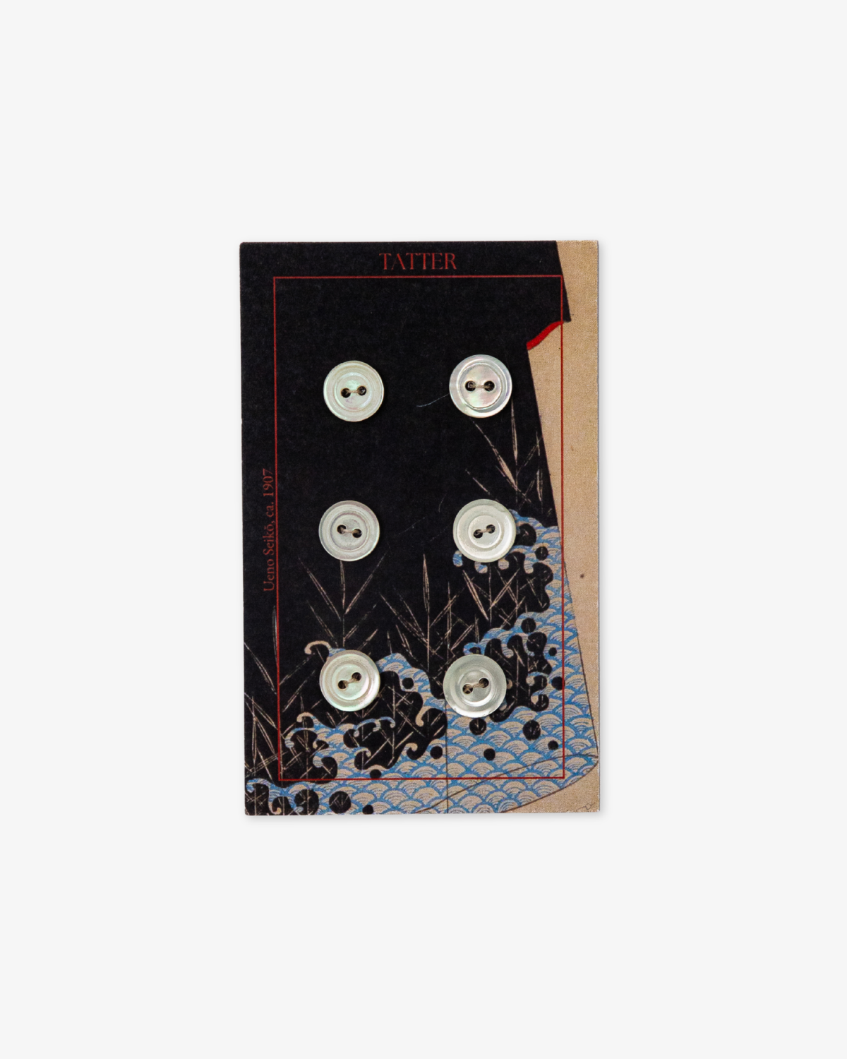 6 Antique Small Shell Buttons (two-hole)