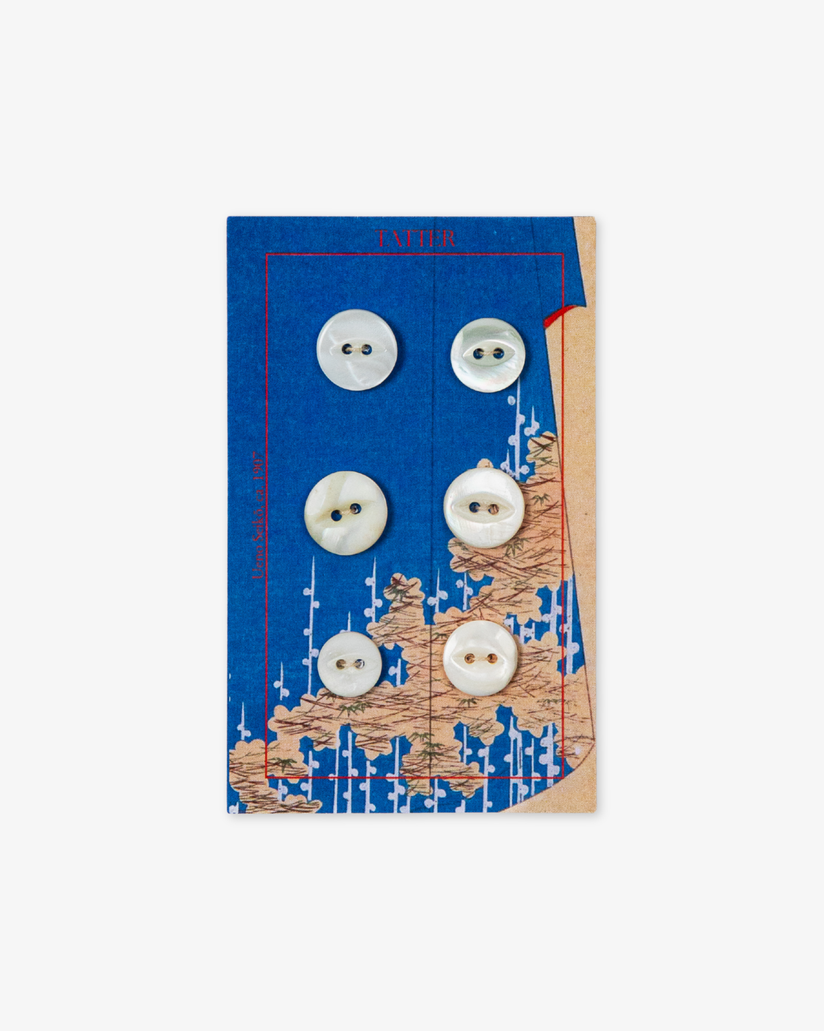 6 Antique Small Shell Buttons (two-hole)