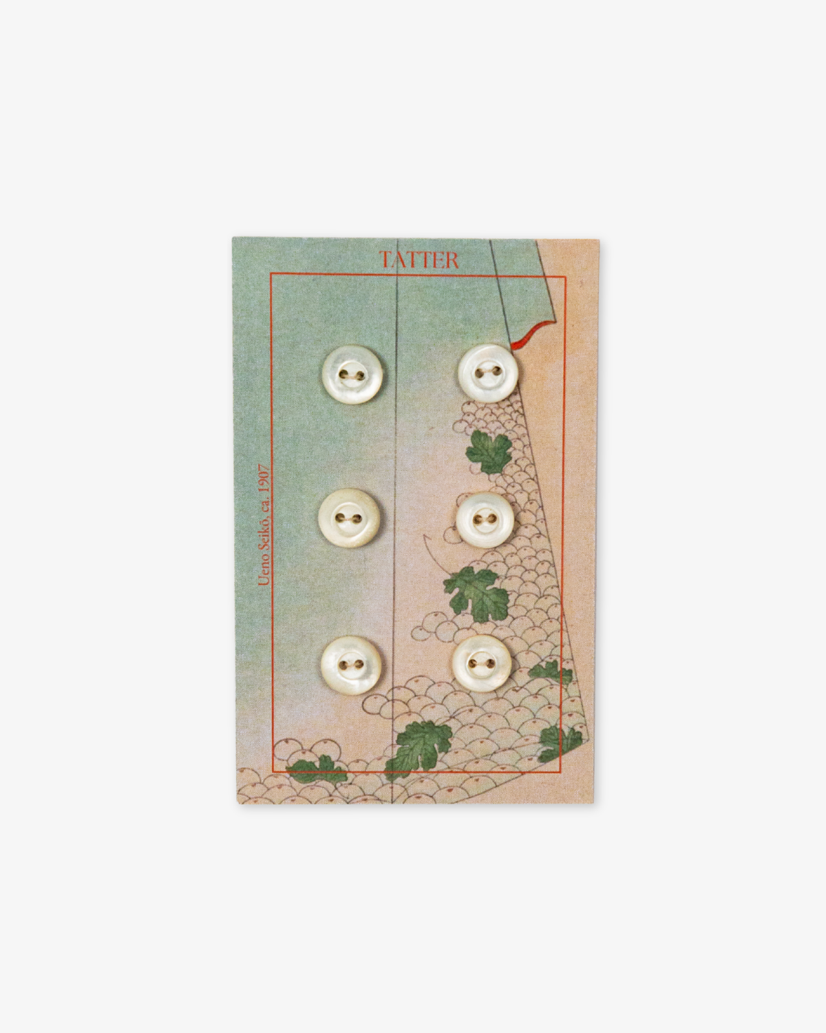 6 Antique Small Shell Buttons (two-hole)