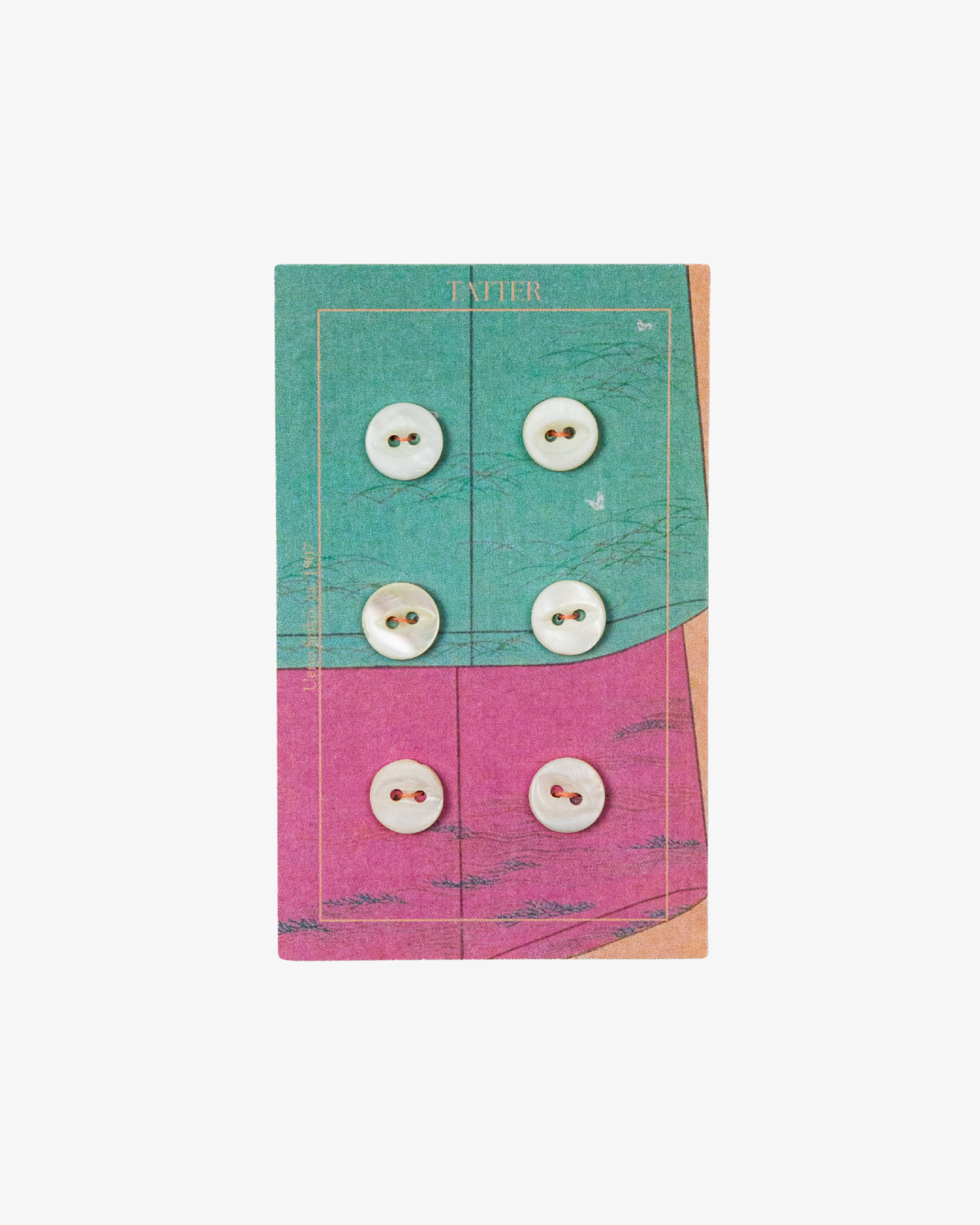 6 Antique Small Shell Buttons (two-hole)
