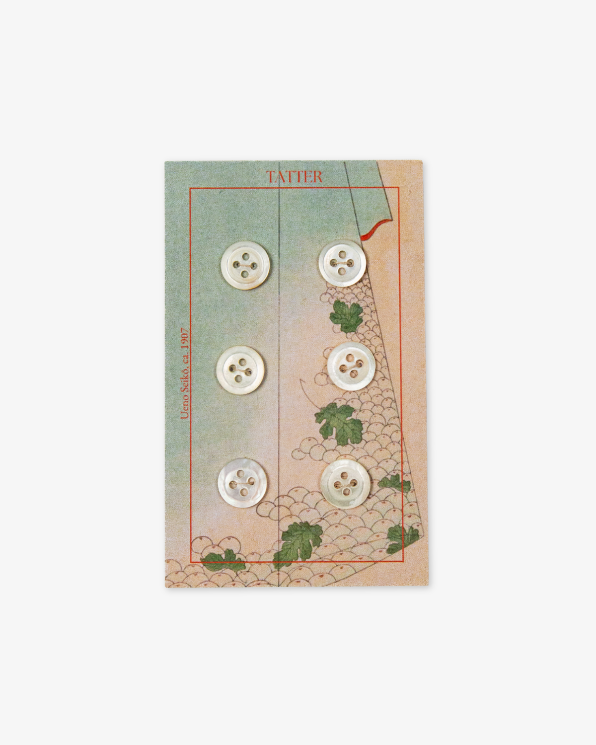 6 Antique Small Shell Buttons (four-hole)