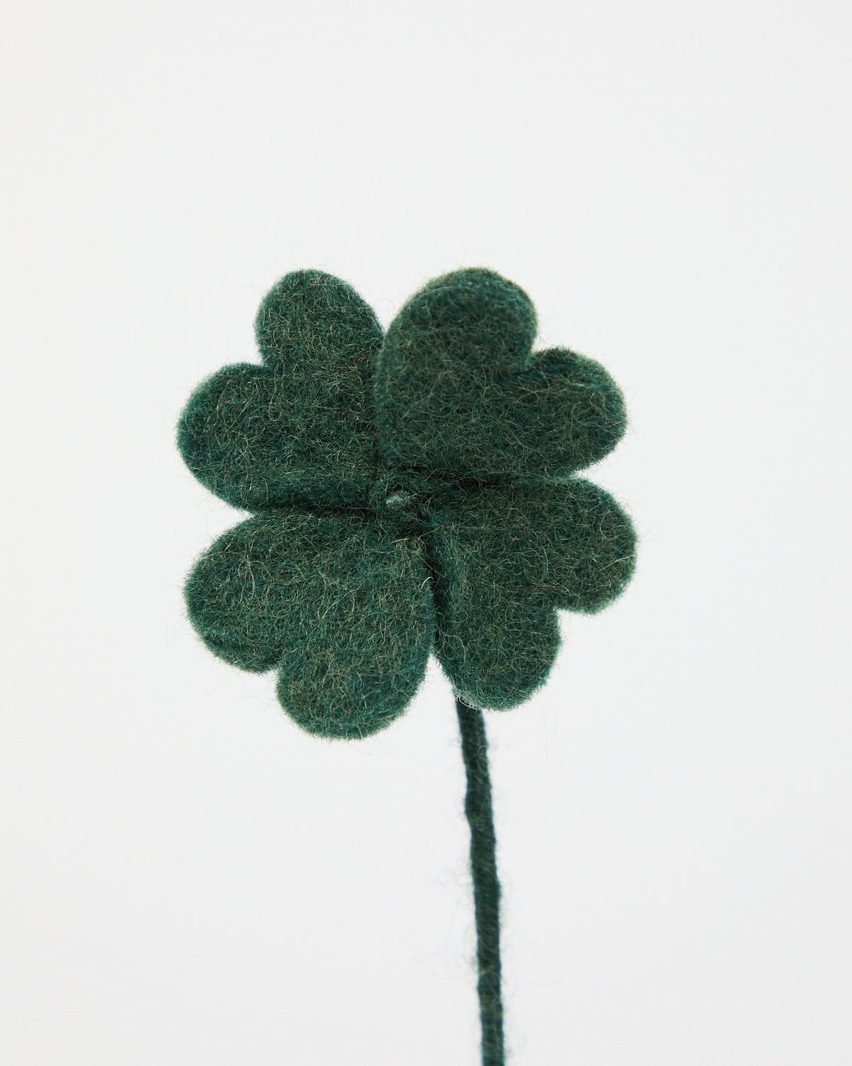 Wool Clover from Aveva
