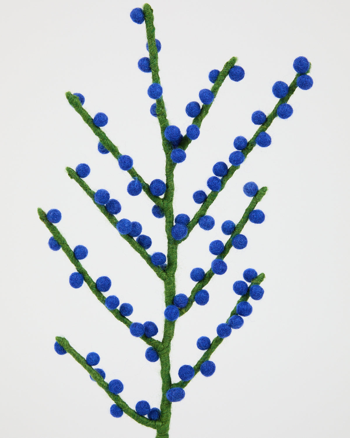 Wool Holly from Aveva