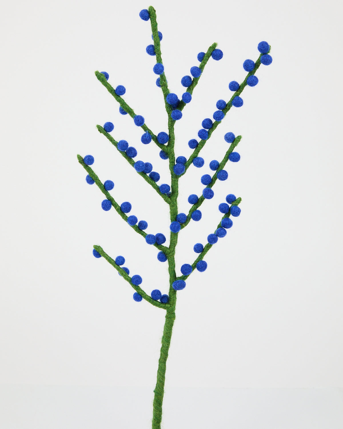 Wool Holly from Aveva