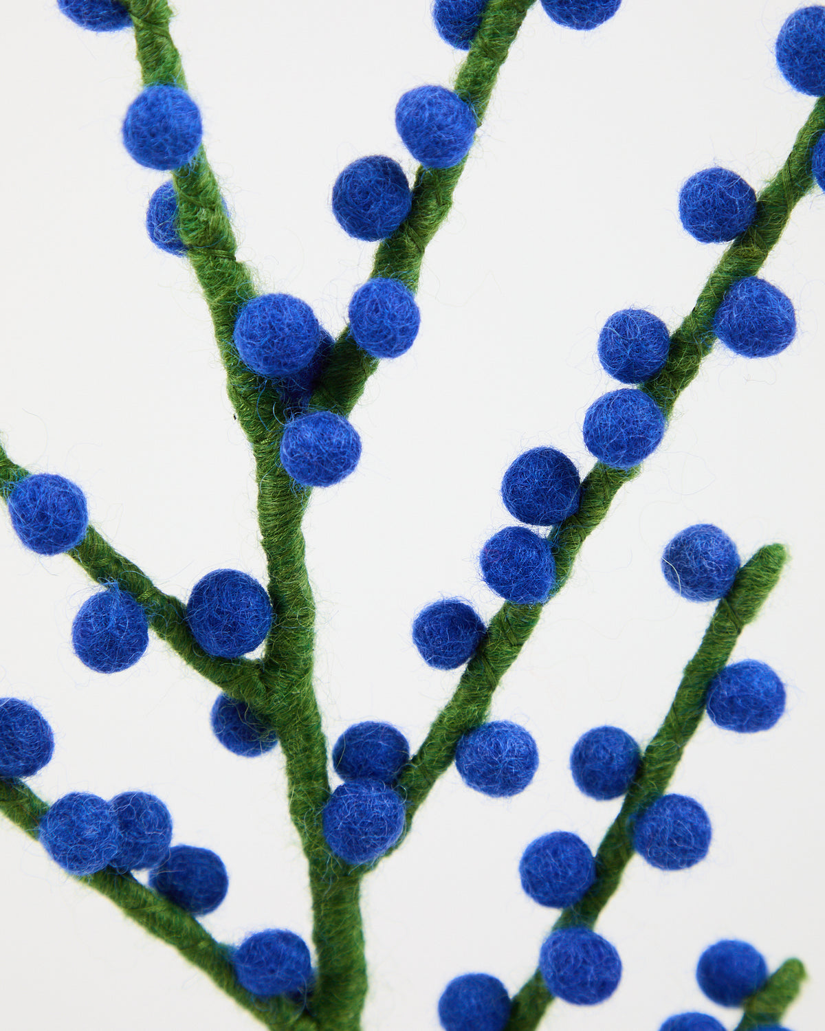 Wool Holly from Aveva