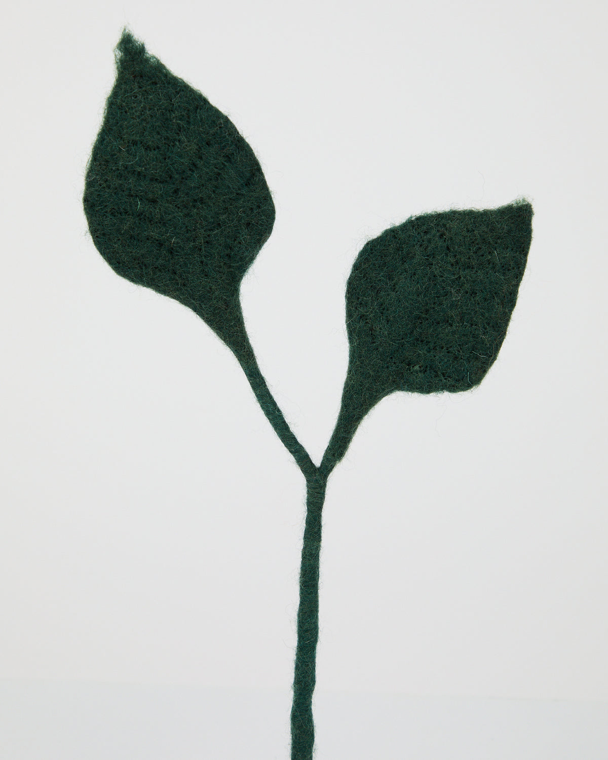 Wool Leaves from Aveva