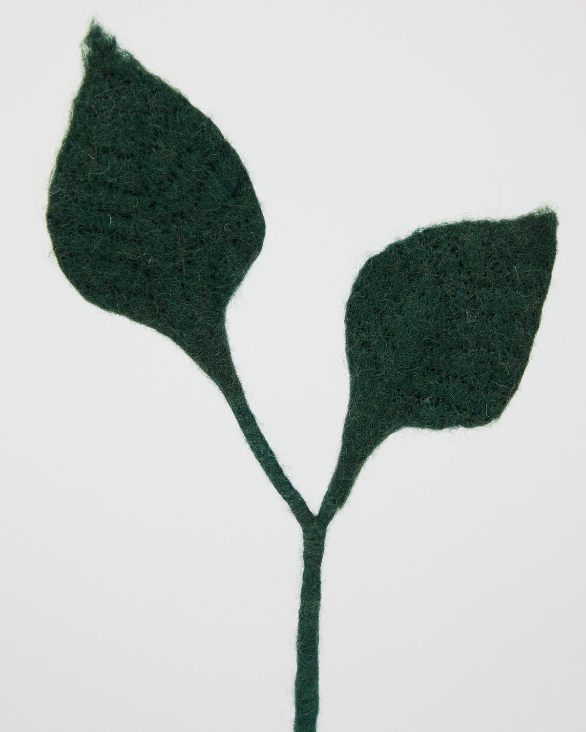 Wool Leaves from Aveva