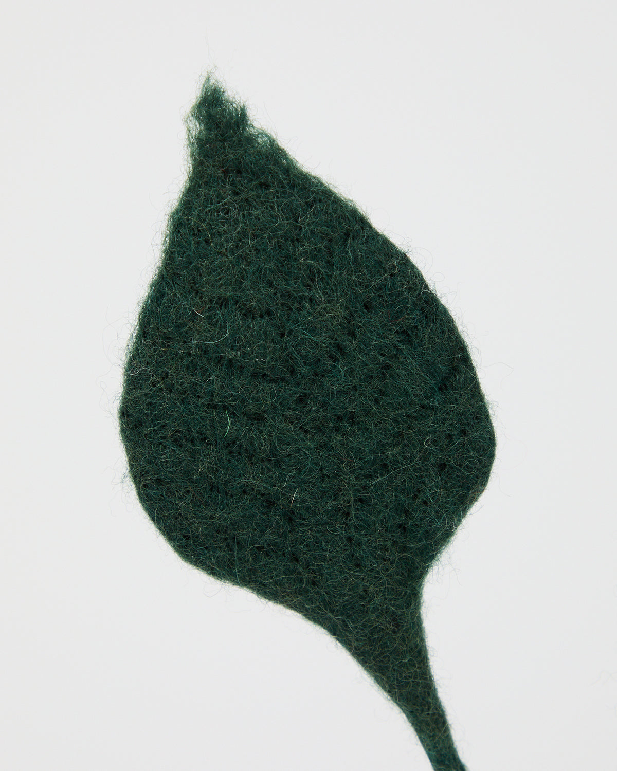 Wool Leaves from Aveva