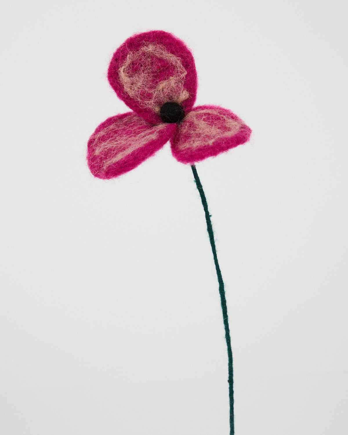Wool Poppies from Aveva
