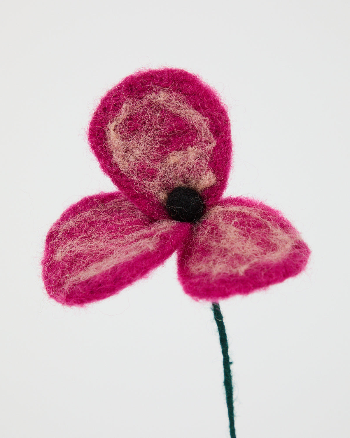 Wool Poppies from Aveva