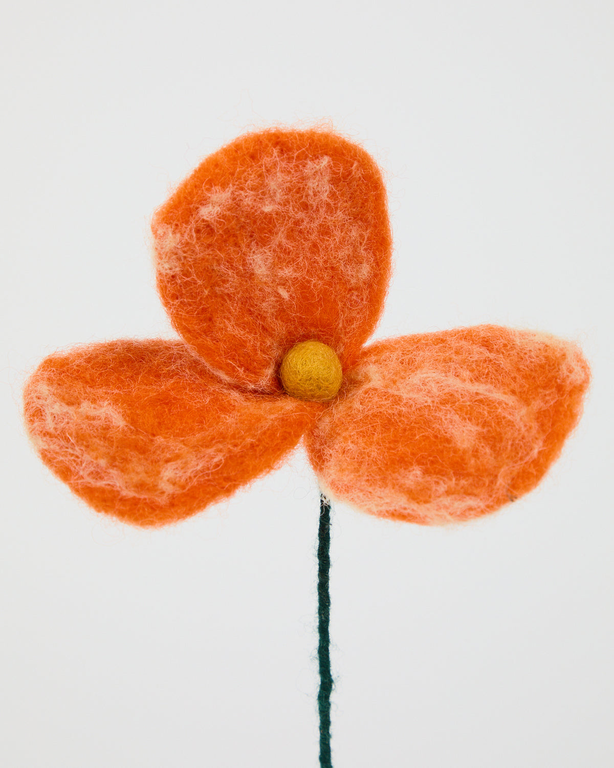 Wool Poppies from Aveva