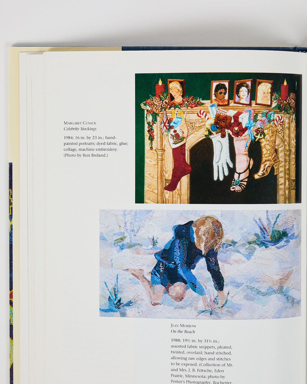 Celebrating the Stitch: Contemporary Embroidery of North America by Barbara Lee Smith (preloved)