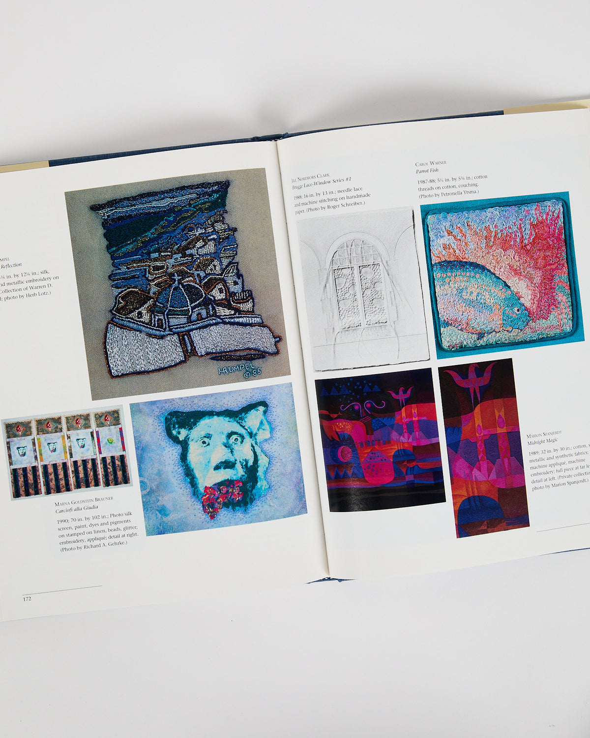 Celebrating the Stitch: Contemporary Embroidery of North America by Barbara Lee Smith (preloved)