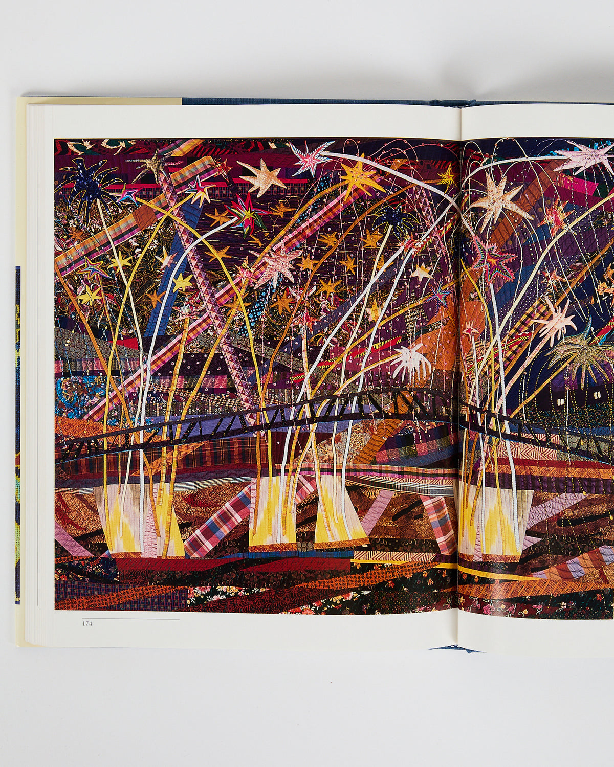 Celebrating the Stitch: Contemporary Embroidery of North America by Barbara Lee Smith (preloved)