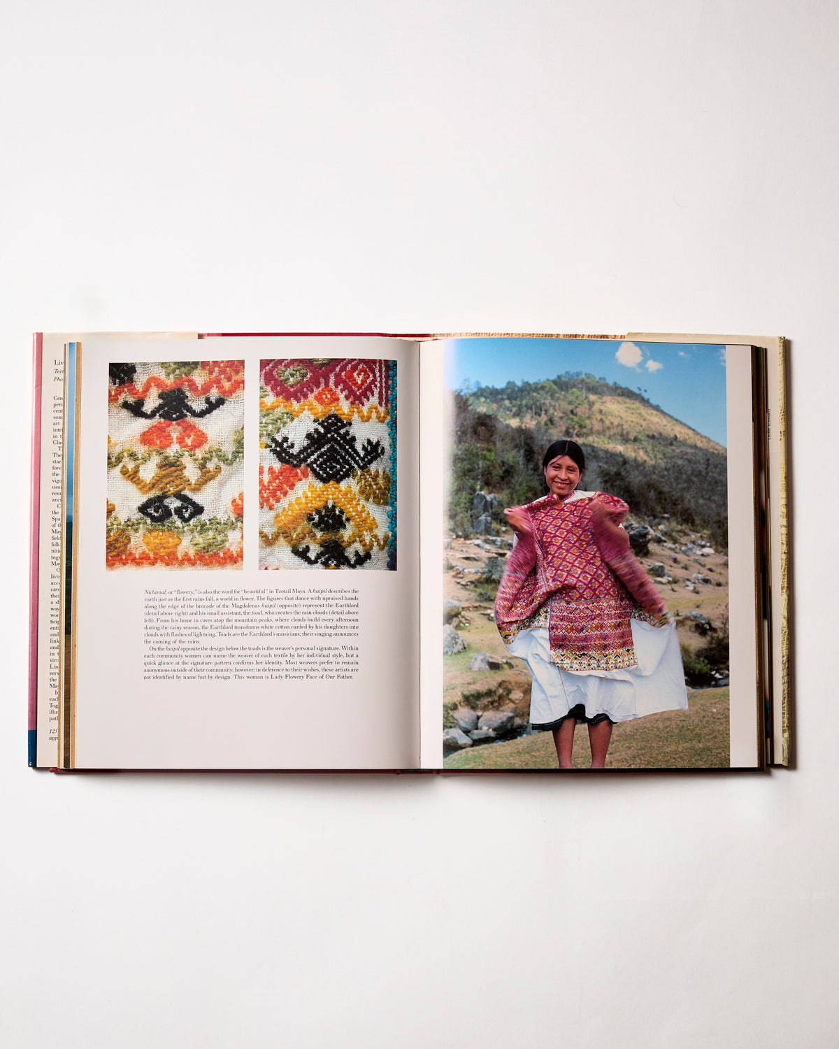 Living Maya by Walter F. Morris (preloved)