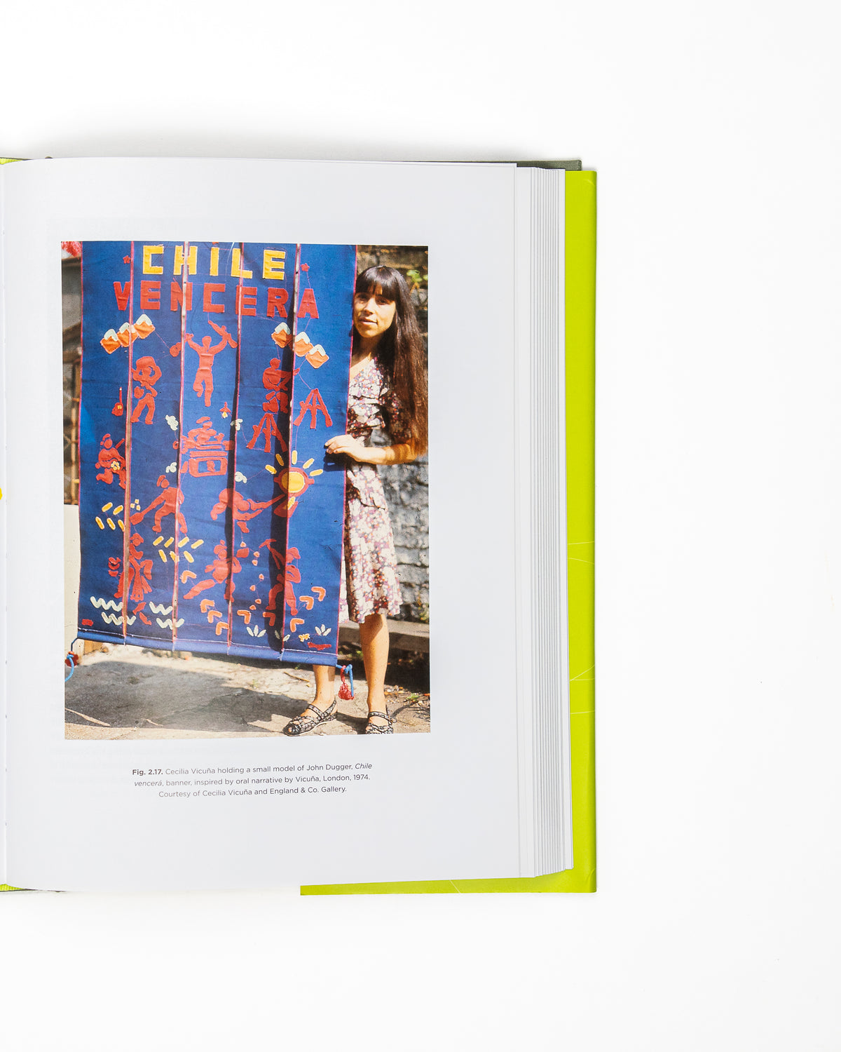 Fray: Art and Textile Politics by Julia Bryan-Wilson (preloved)