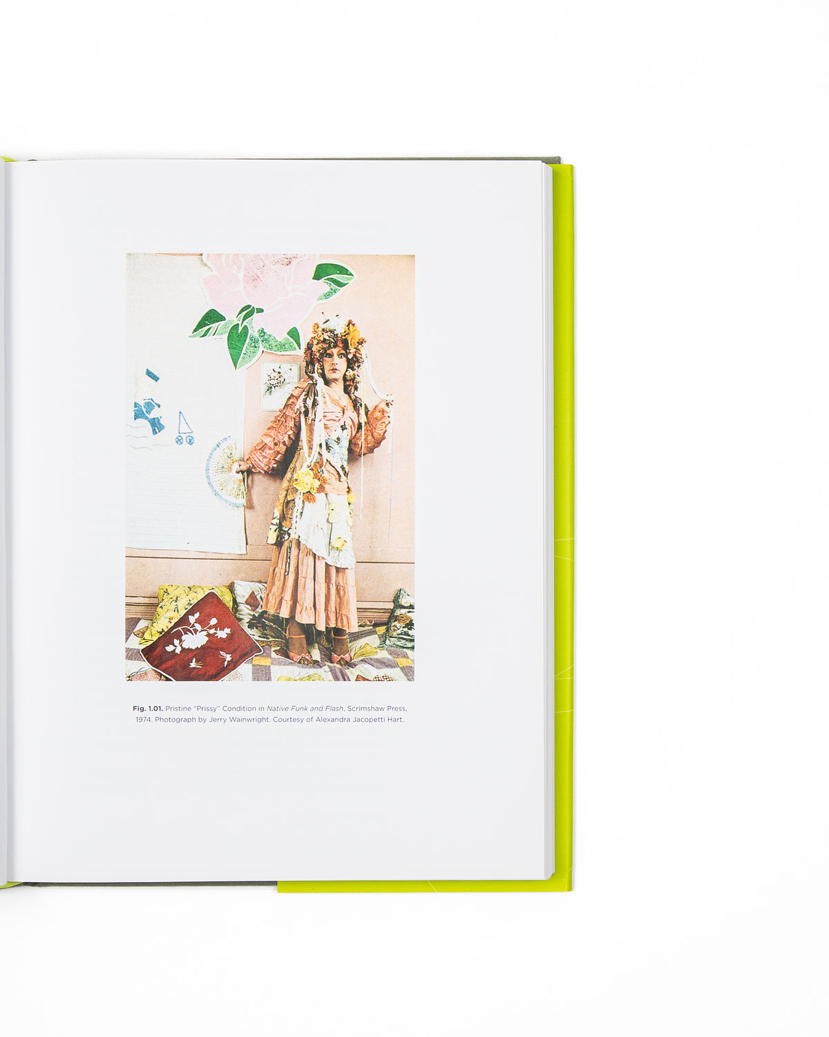 Fray: Art and Textile Politics by Julia Bryan-Wilson (preloved)