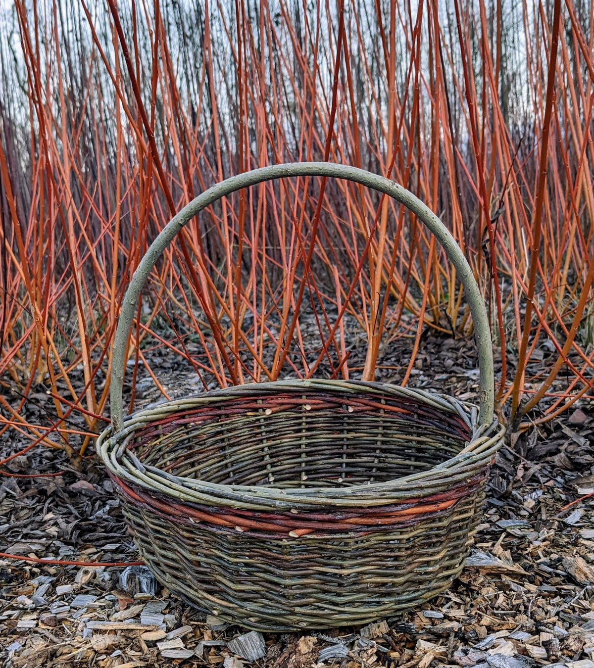 Willow Basket Weaving