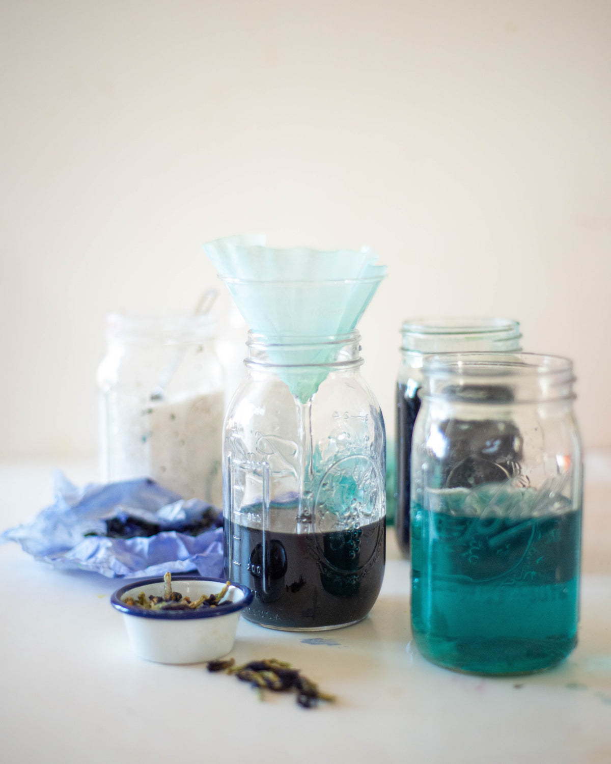 Plant Pigments & Handmade Ink