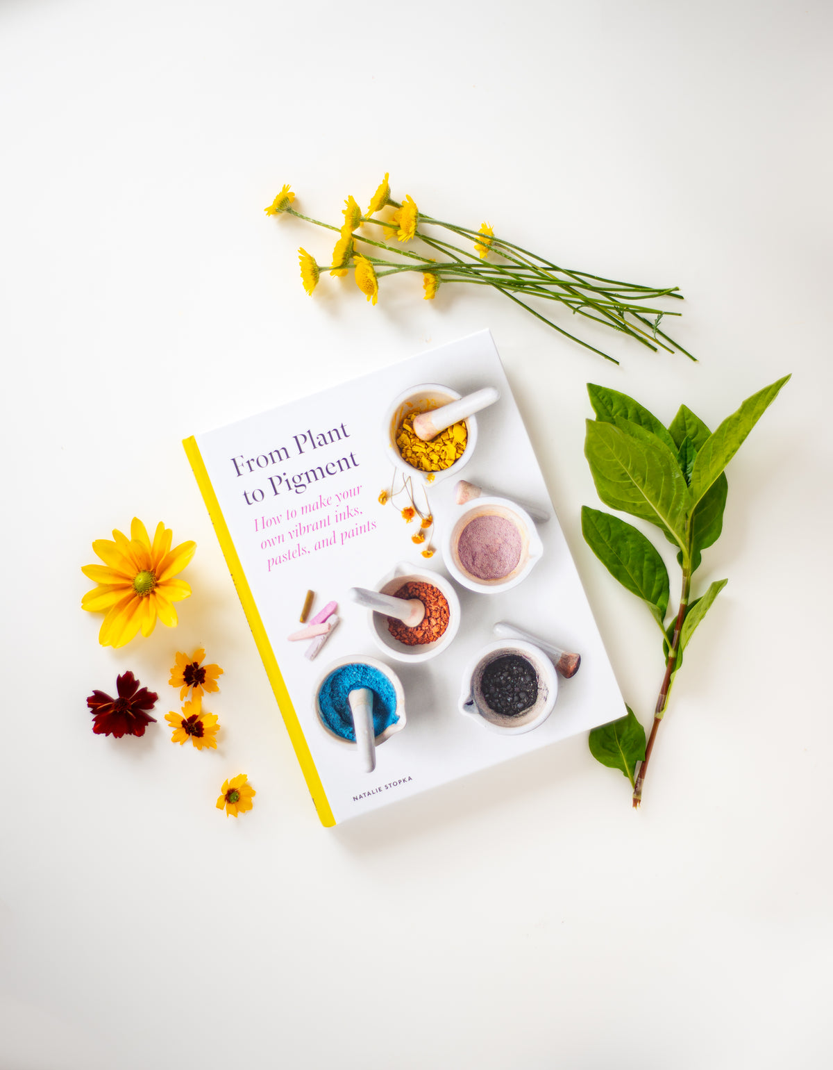 From Plant to Pigment: A Book Talk with Natalie Stopka