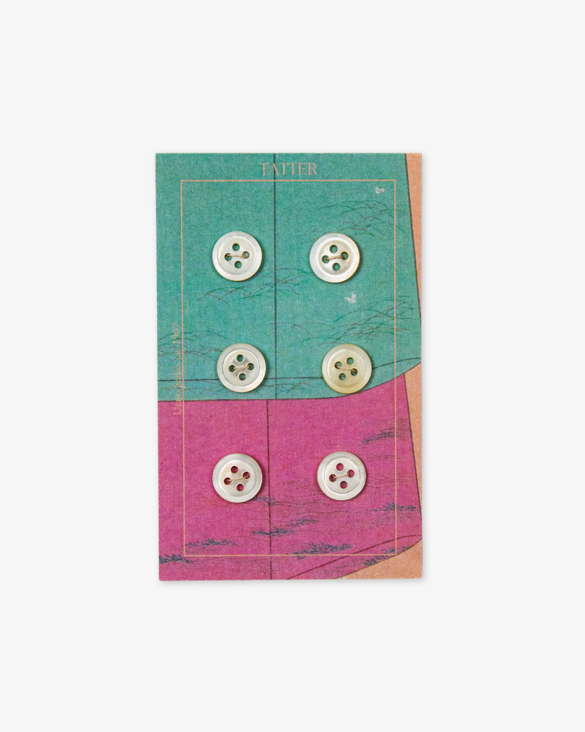 6 Antique Small Shell Buttons (four-hole)