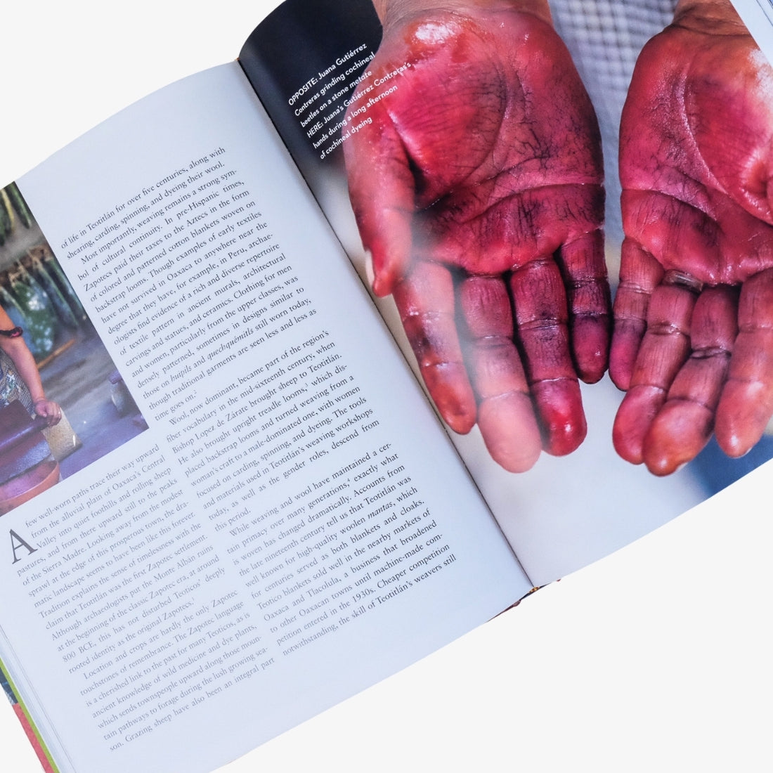 True Colors: World Masters of Natural Dyes and Pigments by Keith Recker